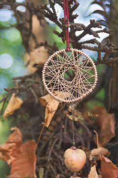 Dreamcatcher amulet on a tree in the wild forest