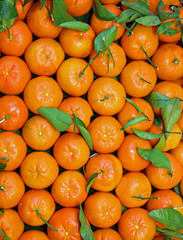 background of Sicilian clementines