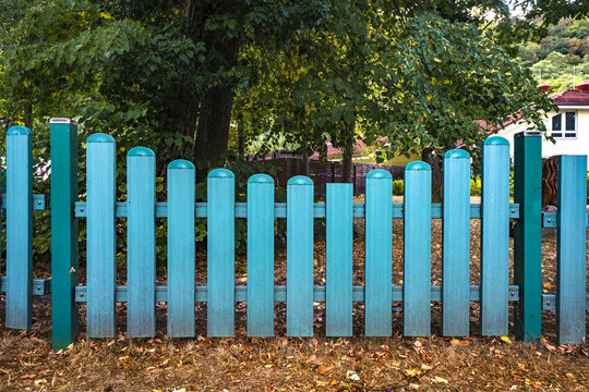 Blue fence gate  at a yard in the fall