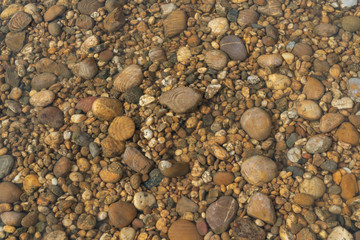 beautiful ocean coastal rocks in a water - pacific ocean bottom rocks underwater,
texture transparent clear waters of the sea lake.