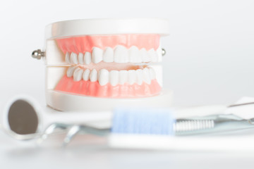 Dental model with dental tool in dental care concept.