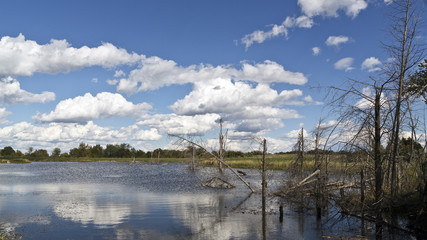 landscape with clouds reflected in a lake at a nature conservation area