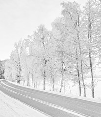 White icy trees and a road by the coast of a lake covered with ice. White winter time.