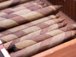 Cuban cigars in a wooden box