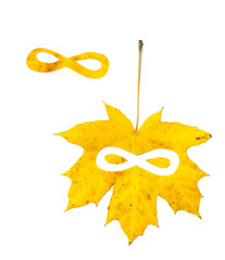 Sign of infinity carved in wedge sheet