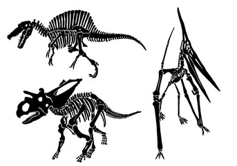 Graphical set of dinosaur skeletons isolated on white background,vector sketch © Алексей Воробьёв