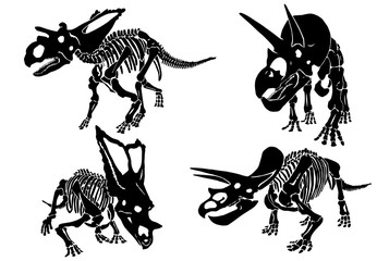 Graphical set of dinosaur skeletons isolated on white background,vector sketch © Алексей Воробьёв
