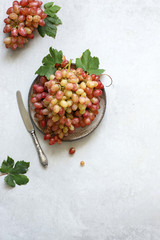 The grapes are ripe on a gray background