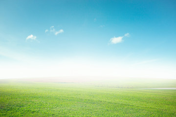 Fototapeta na wymiar Meadow landscape and outdoor sky