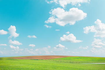 Fototapeta premium Meadow landscape and outdoor sky