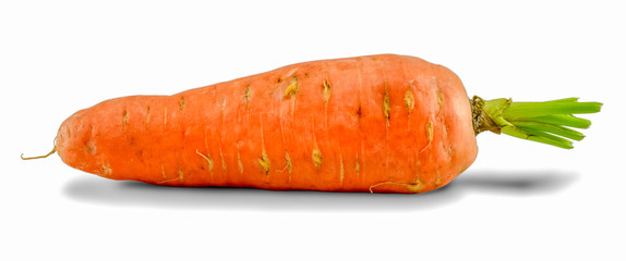 Fresh carrot isolated on white background