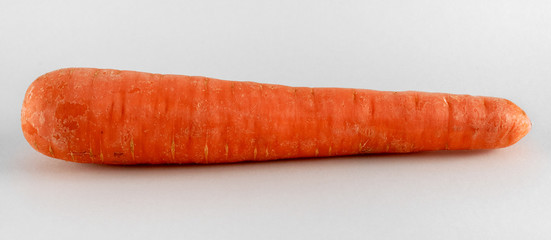 Fresh carrot isolated