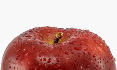 Red apple close-up on white background with copy space for text