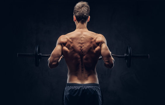 Back view of shirtless man with stylish hair and muscular ectomorph doing the exercises with the barbell.