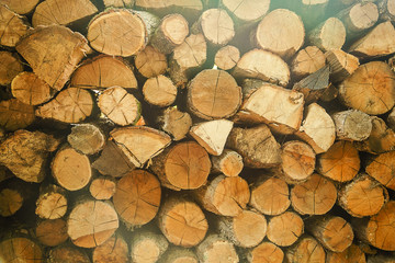 Pile of cut tree wood as abstract natural background