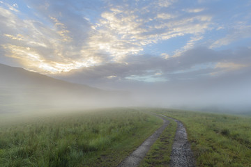 Low mist in the early morning