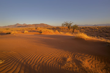 Red sand dune with ripples swept by the wind