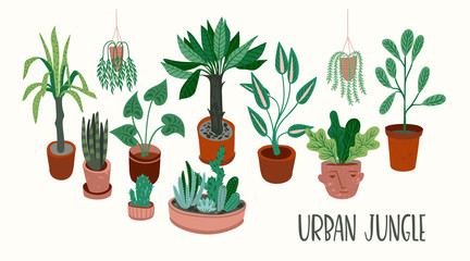 Urban Jungle. Vector illustration with trendy houseplants.