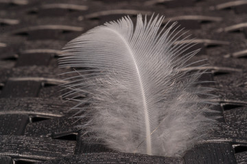 SONY DSC © Michal45