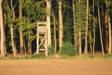 Jägerhochsitz hinter dem Feld am Waldesrand