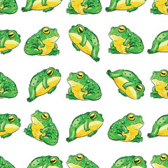 Obraz premium frog pattern, seamless pattern, handdrawn with pencil