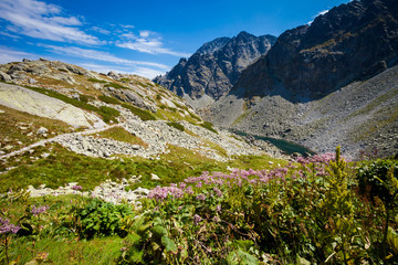 Slovakian Velka Studena Dolina Tatra © sitriel