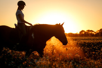 Reiterin mit Pferd im Sonnenaufgang