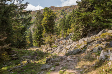 Sentier rocailleux en montagne
