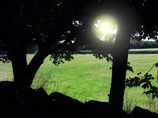 Fototapete bei efototapeten.de bestellen   