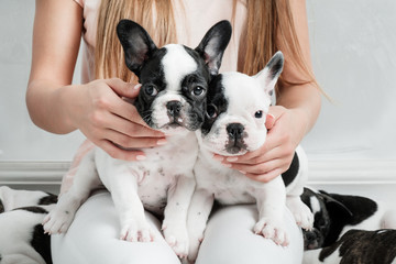 Young beautiful girl hugging a many puppies of a French bulldog