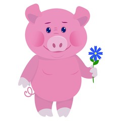 Fototapeta premium Hand drawn pig. Natural colors. Collection of vector hand drawn elements. Illustration