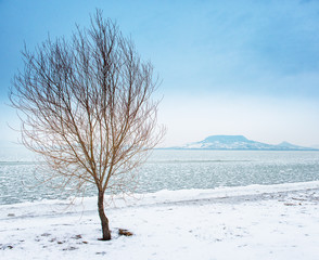 Lake Balaton in winter
