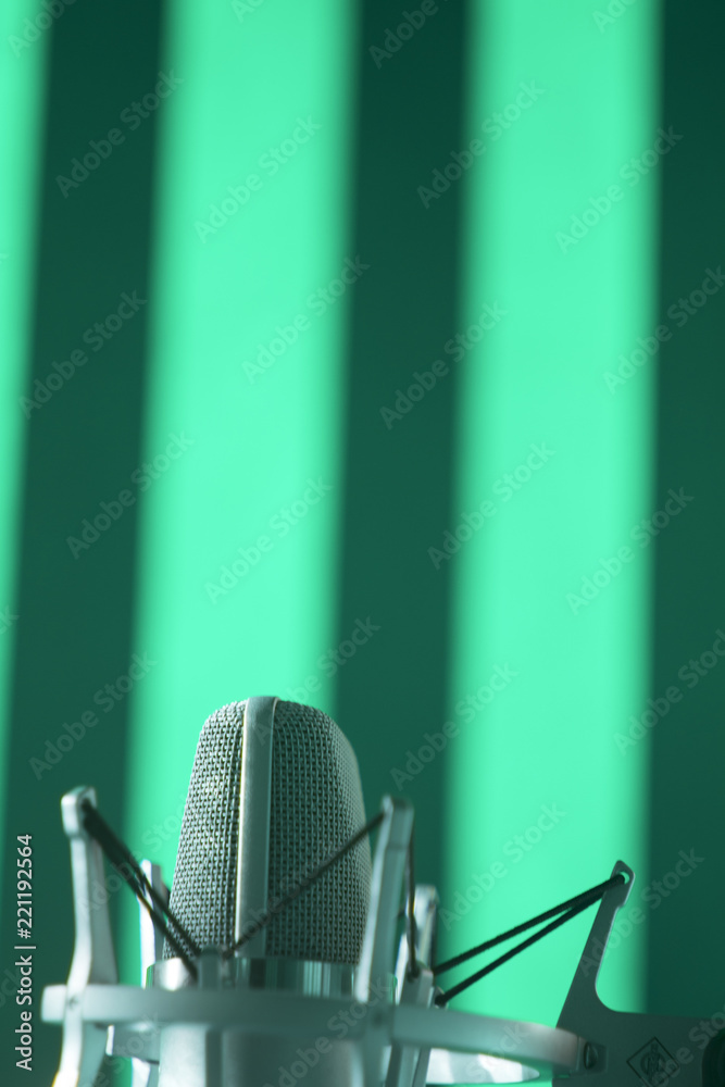 Wall mural recording studio voice microphone