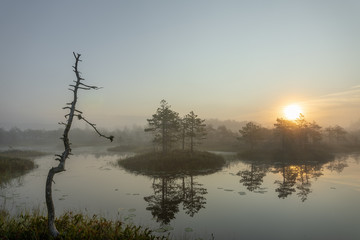 Fototapeta na wymiar Sunrise in the foggy bog