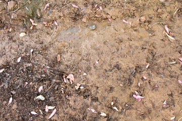 ground texture photo