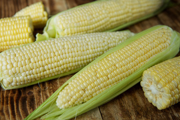The young cobs of fresh yellow corn.