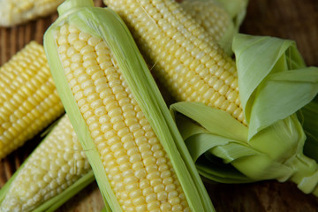 The young cobs of fresh yellow corn.