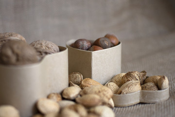 Colesterol. Alimentos que previenen el colesterol. Vida sana. Frutos secos. dieta