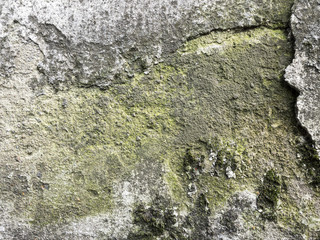 Vintage weathered concrete wall