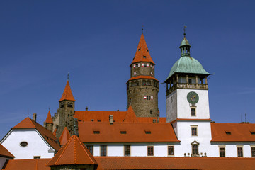 Fototapeta na wymiar Medieval Castle 