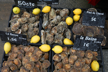 Différentes variétés d’huîtres en vente à Cancale