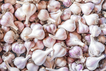White garlic texture. Fresh garlic on market table closeup photo. Vitamin healthy food spice image. Spicy cooking ingredient picture.  White garlic head heap top view.