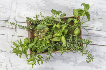 seasonning herbs. kitchen herbs in wooden crate isolated over white background