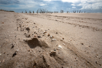 Steep sand in strong winds along the beach with threatening clouds.