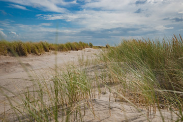 Fototapeta na wymiar Grass covered sand dunes on the beach wuivend in de wind op een zonnige dag.
