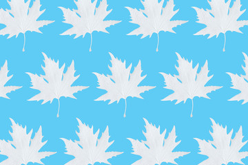 White painted autumn leaf pattern on white background. Minimal season concept.