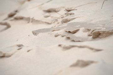 Patterns, wrinkles and other details of erosion at white beach sand in the dunes