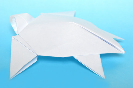 White origami sea turtle on blue background