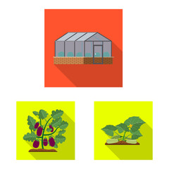 Isolated object of greenhous and plant logo. Set of greenhous and garden vector icon for stock.