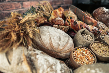 Bread background. Brown and white whole grain loaves wrapped in kraft paper composition on rustic dark wood with wheat ears scattered around. Baking and home bread making concept. Soft toning
